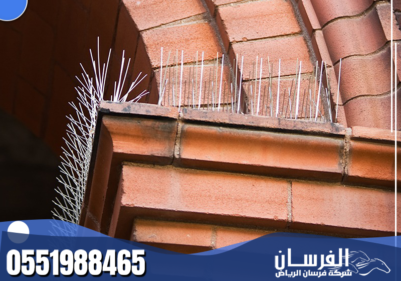 يستخدم الفني أشواك طارد الحمام على المكيفات والأسطح المكشوفة للحد من تجمع الطيور فوقها.