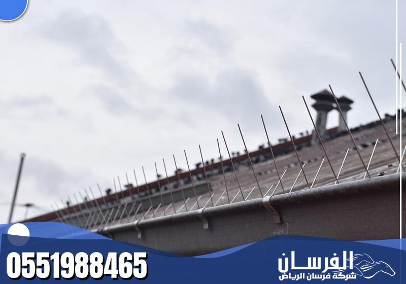 يعاين الفني موقع تجمع الحمام أولًا، ثم يحدد نوع الطارد المناسب قبل البدء في عملية التركيب.
