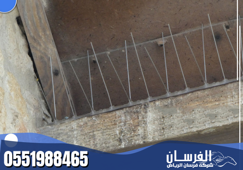 يقوم الفني بتركيب طارد الحمام بدقة على الحواف لمنع الوقوف والتعشيش دون إضرار بالمكان.