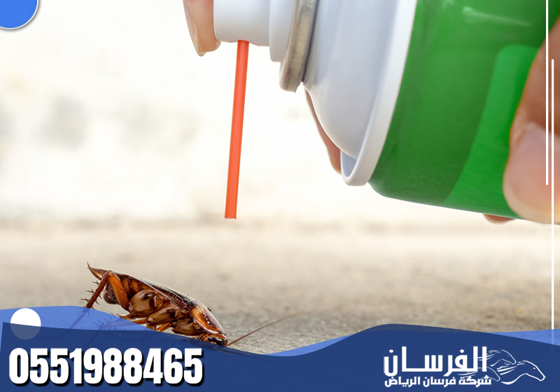 شركة مكافحة الصراصير بالرياض