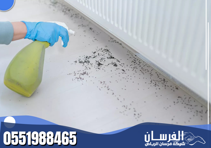 يعتمد الفني على فحص الزوايا ونقاط الدخول أولًا، ثم ينفذ مكافحة النمل الأسود بما يناسب حجم الإصابة.