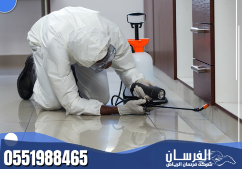 شركة مكافحة حشرات بجدة
