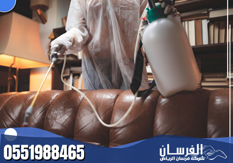 شركة مكافحة الحشرات 0551988465 شركة فرسان الشام خبير مكافحة الحشرات يضمن القضاء الكامل على الحشرات مع متابعة دورية لمنع عودتها مستقبلاً