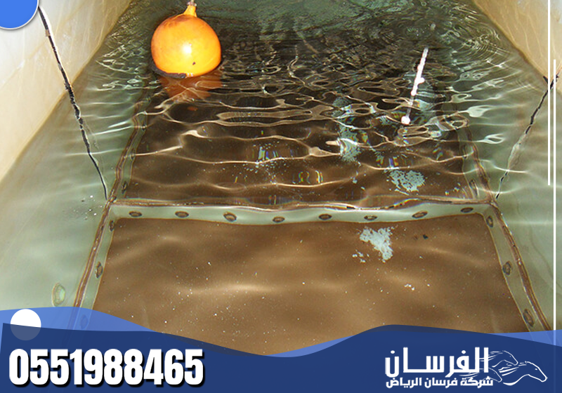 تنظيف الخزانات بدقة لإزالة الرواسب والأوساخ وتعقيم المياه، منع نمو البكتيريا والطحالب، وضمان مياه نظيفة وصحية تمامًا.