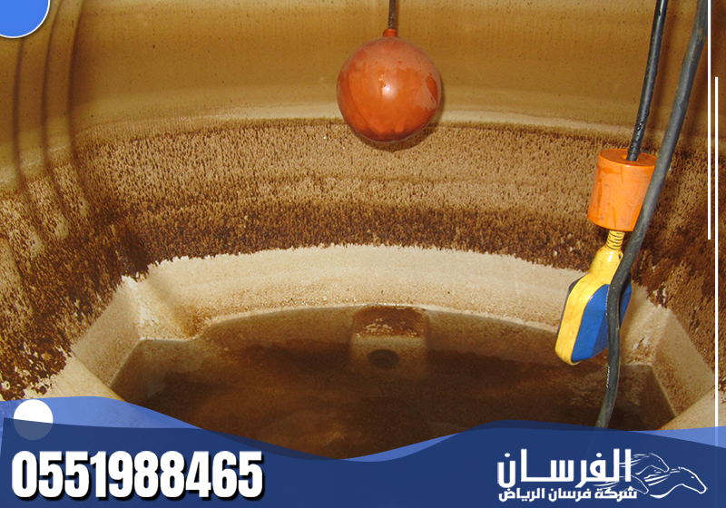 ينظف الفني الخزانات الداخلية والخارجية بعناية، مع إزالة الرواسب والفحص النهائي.