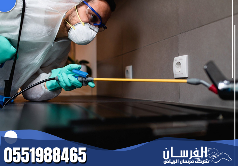 فني مكافحة حشرات يرتدي معدات الوقاية ويرش المبيد في الزوايا والمناطق الضيقة داخل المنزل.