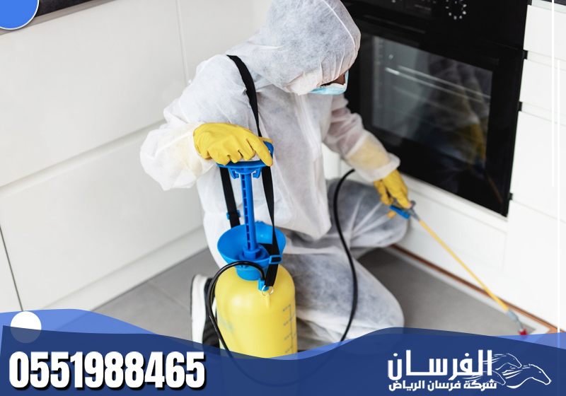 فني مكافحة حشرات يرتدي ملابس واقية ويرش المبيد داخل المطبخ باستخدام معدات متخصصة.
